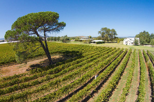 Rick Liston Yarra Valley Photographer Pic 2 - Aerial Wedding Photography at Stones of the Yarra Valley