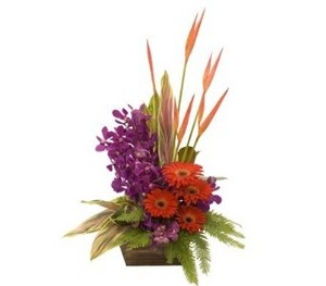 Muswellbrook Florist & Gifts Pic 3