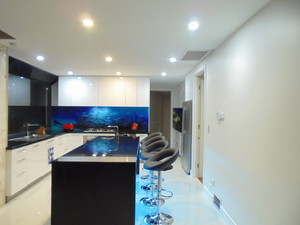 Tranne A.C.Interiors Pic 5 - 2 Pak White gloss doors Galaxy Black Natural Granite benchtop and printed glass