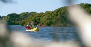 KI Outdoor Action Pty Ltd Pic 3 - Kayaking on the Harriet River