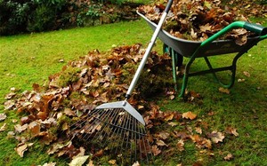 Clever Cleanups & Gardening Pic 2