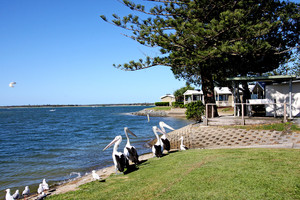 Broadwater Tourist Park Pic 3 - Broadwater waterfront