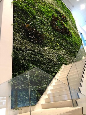 NextGen Living Walls Pic 5