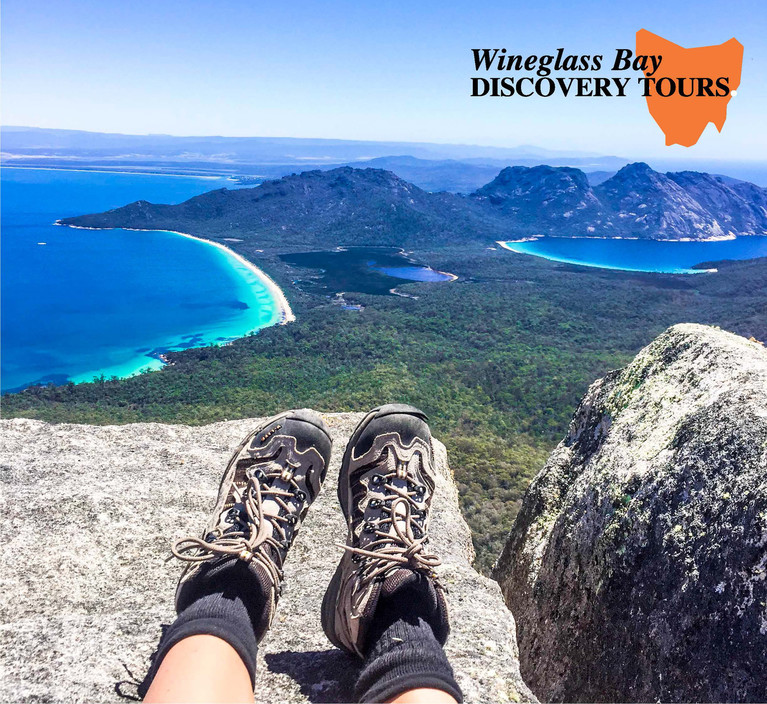 Wineglass Bay Discovery Tours Pic 1