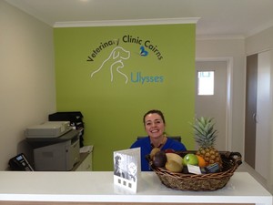 Ulysses Veterinary Clinic Pic 3 - Welcome to Ulysses Vets Cairns formerly Airport Vet Surgery