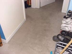 Eco Fresh Carpet & Upholstery Cleaning Pic 5 - AFTER using Eco Fresh Care