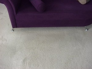 Eco Fresh Carpet & Upholstery Cleaning Pic 3 - Eco Fresh Brighter Fresher Longer