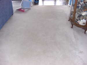 Eco Fresh Carpet & Upholstery Cleaning Pic 4 - Using sustainable technology our product will clean protect and deodourise your carpets