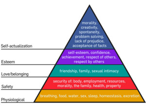 Janice Rees Counselling And Family Therapy Pic 3