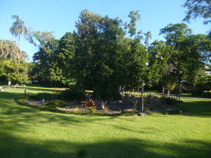 City Botanic Gardens Pic 3 - A nice area of lawn