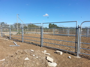 Affordable Gates & Hay Feeders Pic 5