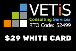 Vetis Consulting Services Pic 1