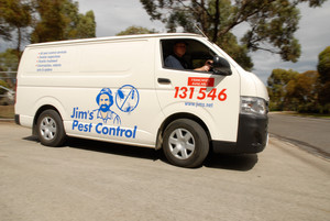 Jim's Pest Control Pic 2 - Jims Pest Control Fast Reliable Service All Suburbs