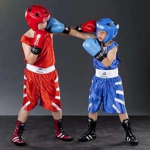 Standup Boxing Pic 3