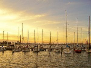 Hobsons Bay Yacht Club Pic 3