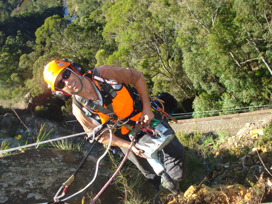 T&G Tree Services Pic 1 - Tree removal Central Coast