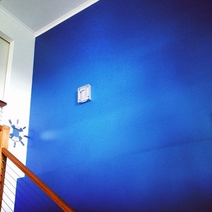 Taylor Made Painting Pic 4 - Just like the old saying goes a blue feature wall is as good as a day at the beach