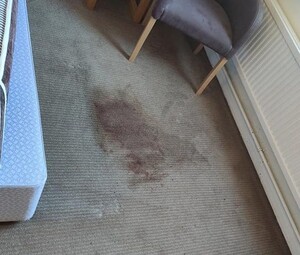 Carpet Steam Cleaning Mornington Pic 5