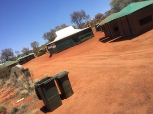 Uluru Camel Tours Pic 4