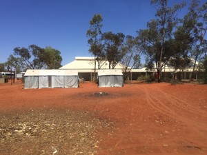 Uluru Camel Tours Pic 2