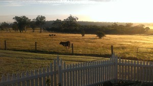 Binnum Farmstay Pic 4