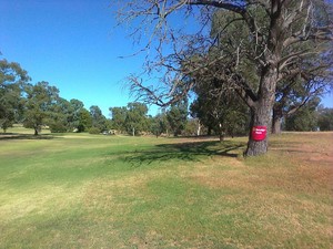 Coleambally Golf Club Pic 3 - Coleambally Golf Club