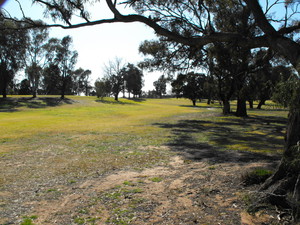 Coleambally Golf Club Pic 4 - Coleambally Golf Club