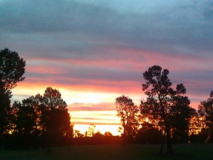 Coleambally Golf Club Pic 2 - Coleambally Golf Club Sunset