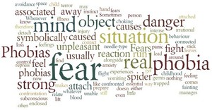 Hypnotherapy 4 the Soul Pic 5 - Dont let Fears Phobias ruin your dayFast effective Hypnotherapy can have you back doing things you have dreamed of