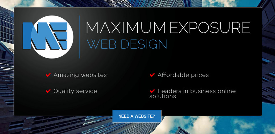 Maximum Exposure Web Design Pic 1