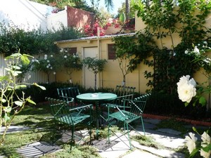 Sussex Cottage Pic 4 - thyme covered mintaro slate and espaliered lemon tree provide a secluded courtyard