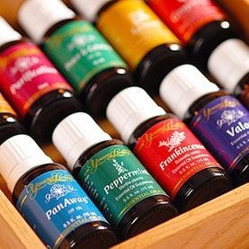 Figtree Holistic Therapies Pic 3 - Young Living Essntial Oils used in all treatments