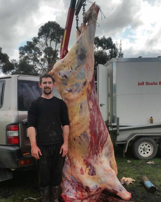 JNR Onsite Butchery Pic 2 - James X 1 steer