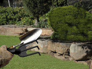 Beattie's Backyard Pic 2 - landscaping north shore nsw