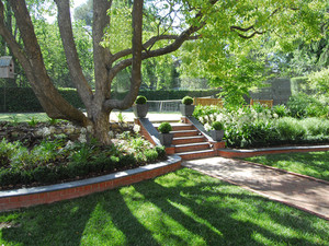 Beattie's Backyard Pic 3 - tree surgeon northern suburbs nsw