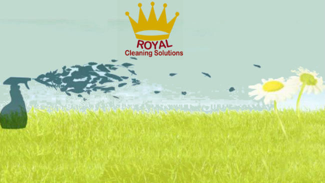 Royal Cleaning Solutions Pic 1