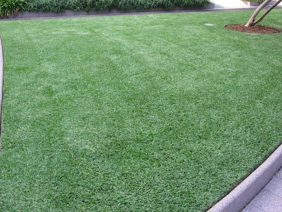 Wildcat Garden Services Pic 1 - Lawn Care mowing edging and fertilising