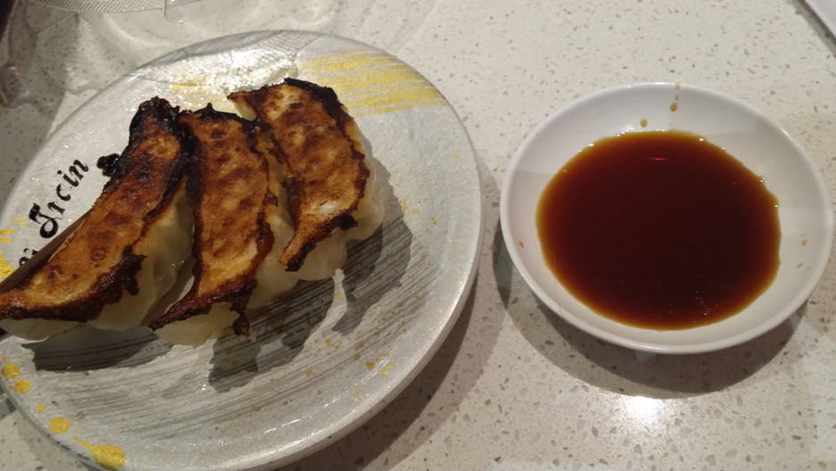 Sushi Train Pic 2 - Pork gyoza Nice