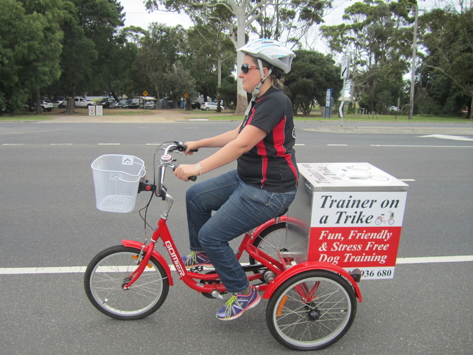 Trainer on a Trike Pic 1