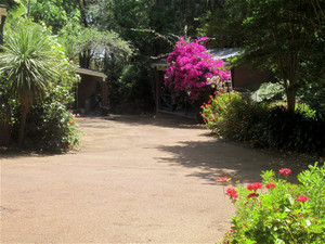 Magic Barrow Gardens & Gutters Pic 3 - Blowing the driveway and paths provides a nice welcome for guests