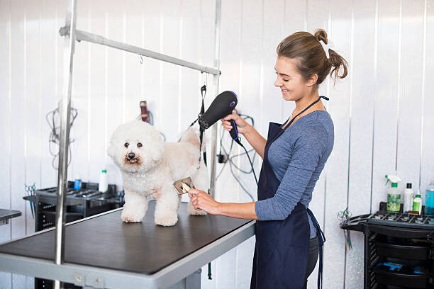 Adelaide Hills Dog Grooming Pic 1