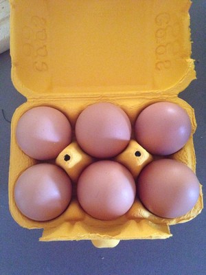 Molly Dolly Polly Eggs and Produce Pic 3