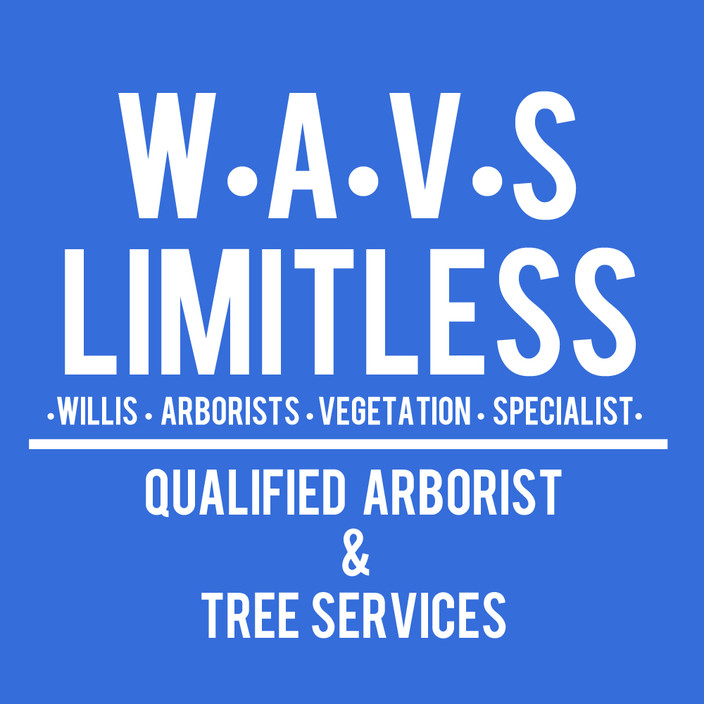 WAVS Limitless Pic 1