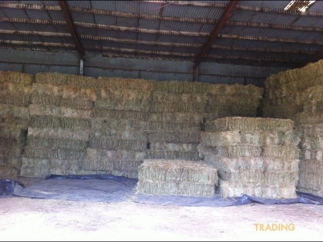 Hay Bales for Sale Pic 1