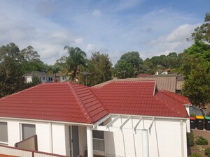 Dayluxe Roof Painting Pic 4