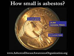 Asbestos Be Gone Pic 4 - The size of asbestos fibres