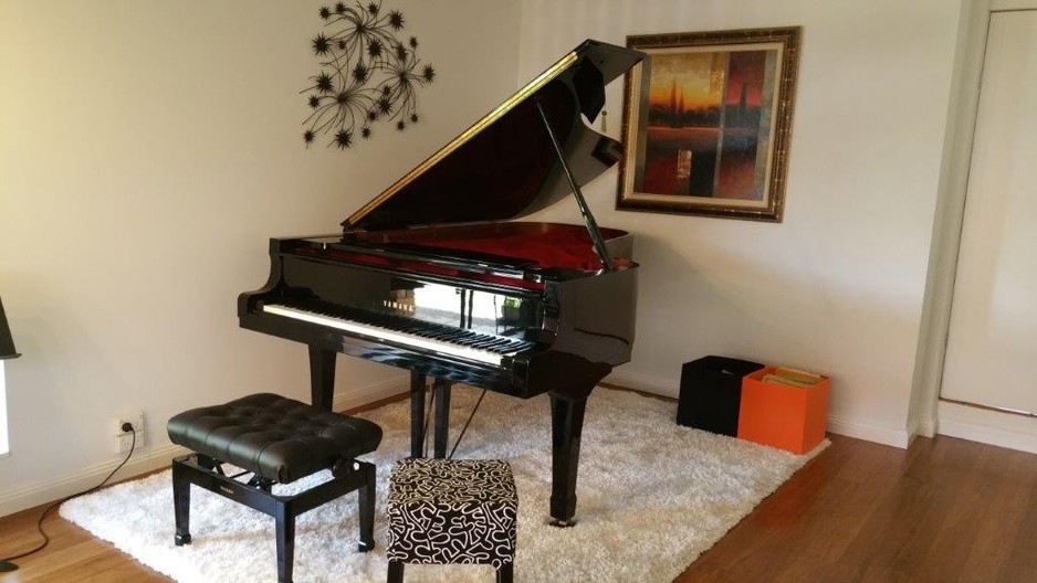 Gold Coast Piano Teacher in Hollywell, QLD, Professional Services