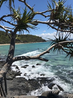 Pools Of Noosa Pic 4