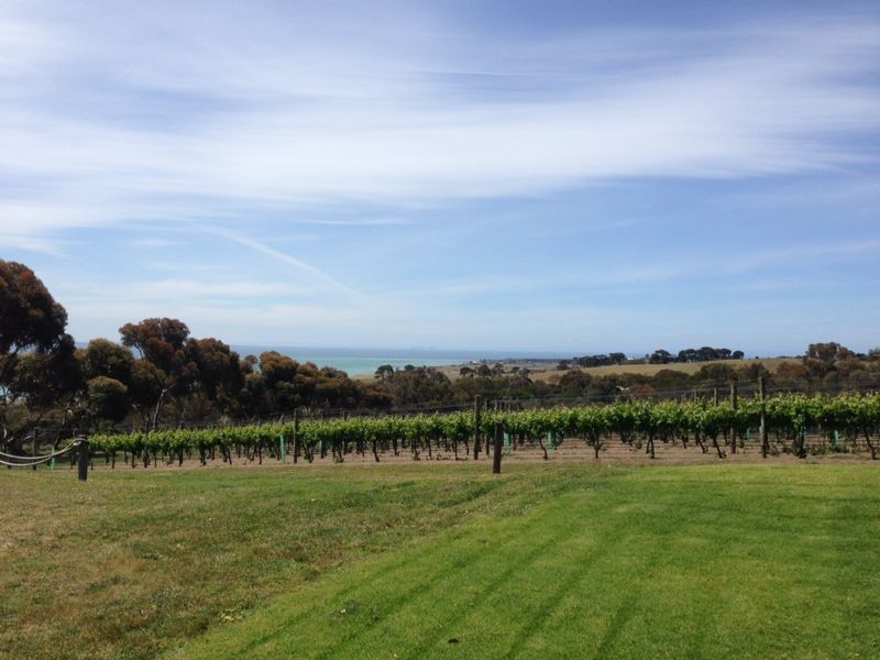 The Shed @ Terindah Pic 2 - View of the vineyard