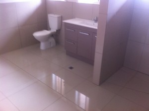 Wats On Top Tiling Pic 3 - New vanity and toilet